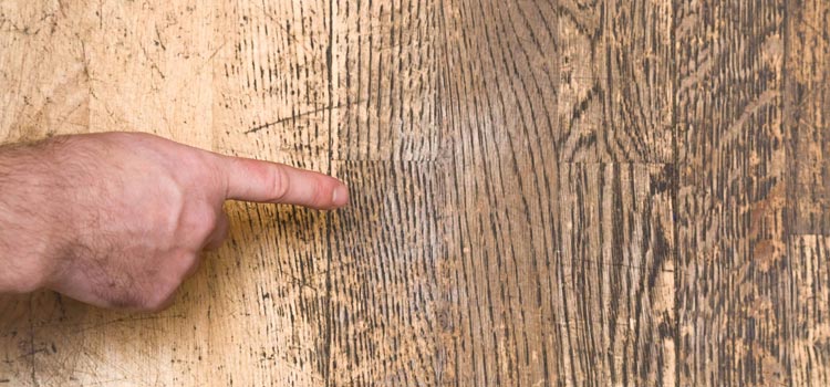 Wood Door Scratch Repair in Lamont